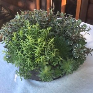 Meet your Posher, Ann